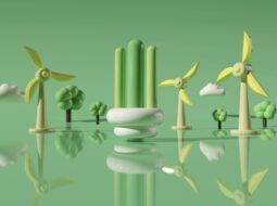 Robert Shawn Knight - Sustainability and Innovation